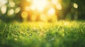 Generative AI green grass blurred background with sun rays in park meadow business concept. Royalty Free Stock Photo