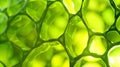 Generative AI green plant cells abstract science background business concept.