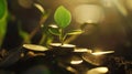 Generative AI Growing Money - Plant On Coins - Finance And Investment Concept business concept. Royalty Free Stock Photo