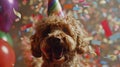 Generative AI Happy cute labradoodle dog wearing a party hat celebrating at a birthday party, surrounding by falli