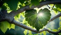 Generative AI, Heart of Nature: A Symbolic Connection Between Love and Life