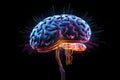 Human brain neural plasticity, neuroscience and neurobiology. Neurological diseases, mind disorders with neuroradiology oncology.