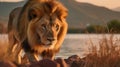 Generative ai illustration of a African male Lion with mountain and river Royalty Free Stock Photo