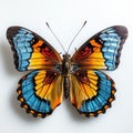 Generative ai illustration of beautiful blue yellow orange butterfly isolated on a white background Royalty Free Stock Photo