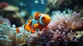 Generative ai illustration of Clownfish Amphiprioninae in aquarium tank
