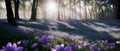 A forest landscape for web design, sunlight filtering through trees, purple flowers blooming on the ground, untouched nature