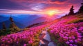 magic landscape with a path in a pink flower flield, mountainscape and a moody sunset
