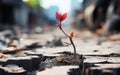 Generative ai illustration Red Pink flower growing on crack street Royalty Free Stock Photo