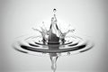 Simple water drop round splash Royalty Free Stock Photo