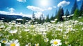 Generative ai illustration of Spring or summer meadow with flowers