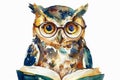 Generative AI illustration of a Watercolor cute owl with glasses reading book, isolated