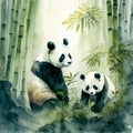 Generative AI illustration of watercolour style image of endangered giant pandas in bamboo forest jungle landscape