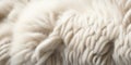 Generative AI illustration of white soft fluffy wool of sheep with long fur