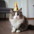 Generative AI illustrations, Merry kitty, birthday. Banner, anniversary or holiday Royalty Free Stock Photo