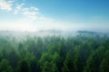 Generative AI Image of Aerial View of Green Trees in Forest with Misty Sky at Daytime Royalty Free Stock Photo