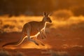 A generative ai image of an Australian kangaroo