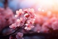 Generative AI Image of Beautiful Pink Cherry Blossom in Springtime on Bright Background