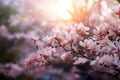 Generative AI Image of Beautiful Pink Magnolia Flowers in Springtime