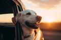 Generative Ai image of a cute happy dog looking out of car window
