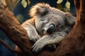 Generative AI Image of Cute Koala Sleeping on Eucalyptus Tree Branch in Forest Royalty Free Stock Photo