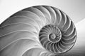 A black and white image of a spiral. Generative AI image Royalty Free Stock Photo