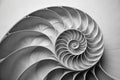 A black and white image of a spiral. Generative AI image Royalty Free Stock Photo