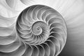 A black and white image of a spiral. Generative AI image Royalty Free Stock Photo