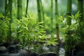 Generative AI Image of Fresh Green Bamboo Leaves Near a Pond