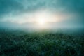 Generative AI Image of Green Grass in a Field with Thick Fog Background Royalty Free Stock Photo