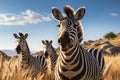 Generative AI Image of a Group of African Zebras in the Savanna Royalty Free Stock Photo