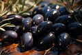 Generative AI Image of Harvesting Fresh Black Olives Fruit in the Garden