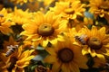 Generative AI Image Honey Bee Flying in Flowering Garden with Sunflowers