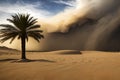 Sandstorm is a common occurrence in the desert