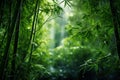 Generative AI Image of Nature View Background with Fresh Bamboo Leaves in Forest