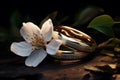 Generative AI Image of a Pair of Gold Wedding Rings on Nature Background