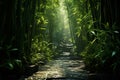 Generative AI Image of Path in Forest Surrounded by Lush Bamboo Trees During Rain Royalty Free Stock Photo