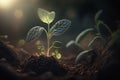 Generative Ai image of a plant in young developing with soil background and sunrise light in spring