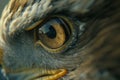 Generative AI Image of Sharp Eye Vision of Eagle Bird Royalty Free Stock Photo