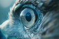 Generative AI Image of Sharp Eyesight of Grey Eagle Predator
