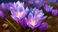 A stunning crystal crocus, its delicate petals crafted from shimmering gemstones