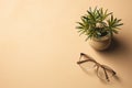 Generative AI Image of Stylish Glasses with Potted Plant on Pastel Background