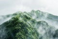 Generative AI Image of Top of Green Hill Mountain with Thick Smog Fog Mist Royalty Free Stock Photo