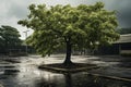 Generative AI Image of Tree in Parking Lot During Rain Royalty Free Stock Photo