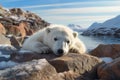 Generative AI Image of White Polar Bear Resting on a Rock in Winter Season