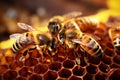 Generative AI Image of Yellow Bees Insect Working in a Honeycomb with Producing Sweet Honey Royalty Free Stock Photo