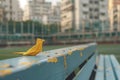 Generative AI Image of Yellow Bird From Origami Paper on a Bench in City Park