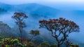 Generative AI Kew mae pan nature trail at Doi Inthanon national park Chiangmai Thailand business concept. Royalty Free Stock Photo