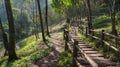 Generative AI Kew mae pan nature trail at Doi Inthanon national park Chiangmai Thailand business concept.