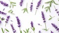 Generative AI Lavender flowers and leaves creative layout isolated on white background Top view flat lay Floral co Royalty Free Stock Photo