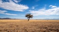 Generative AI Lonely Tree on Vast Open Field under Bright Blue Sky with Soft Clouds in a Distant Landscape busines Royalty Free Stock Photo